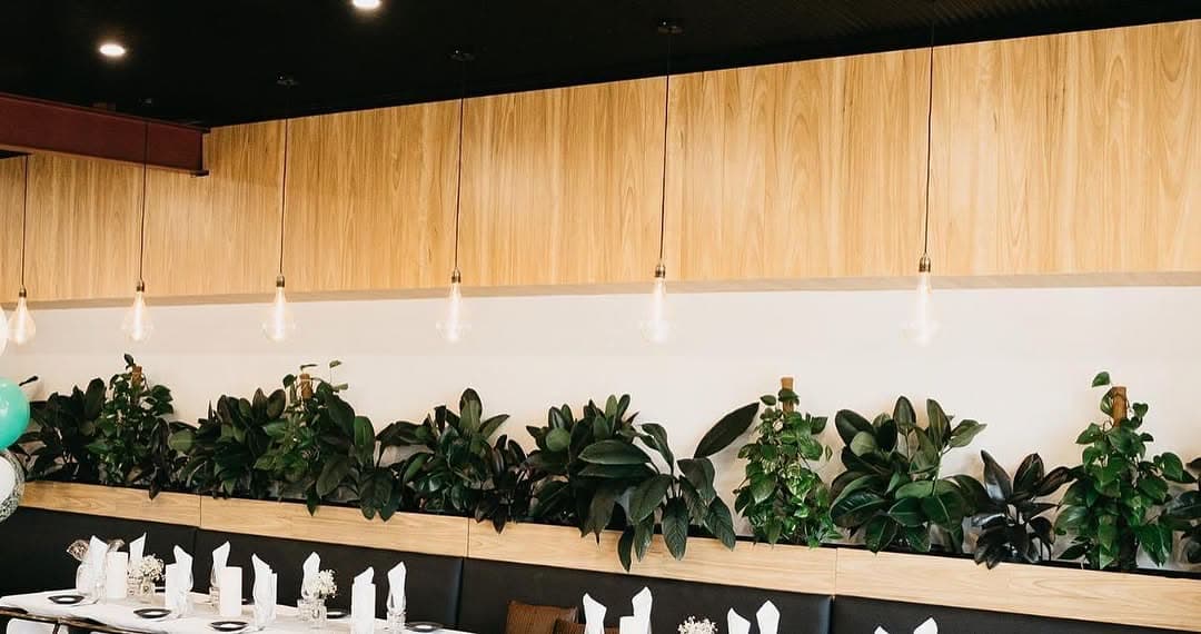 Commercial cafe fitout with timber batten walls and ceiling